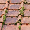 Protect Your Home: Expert Roof Repair in Shelbyville