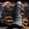 Timely Residential Roof Repair in Franklin Park