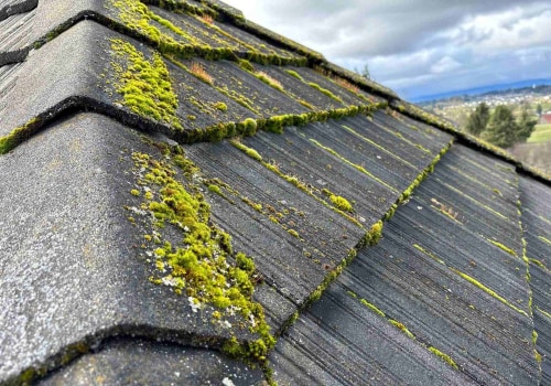 Why Professional Roof Cleaning Is Essential After Your Residential Roof Repair In Vancouver, WA